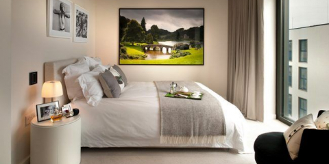 Živá příroda v interiéru: výběr obrazů, které promění design místnosti